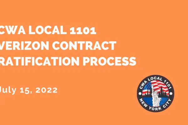 vz_ratification_process.png